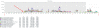 Citrix DDoS
