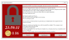 Pay it or Lose It Ransomware